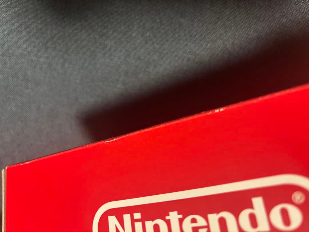 Nintendo Switch Lite しずえアロハ柄(ダウンロード版無し)