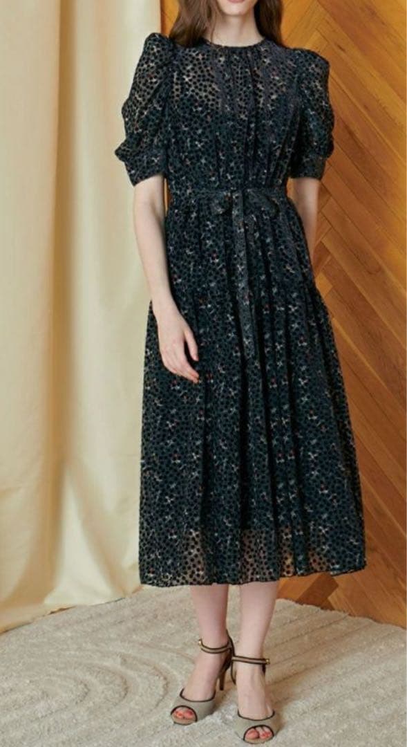 完売品 2025 CORCOVADO フラワーオパールパフスリーブドレス