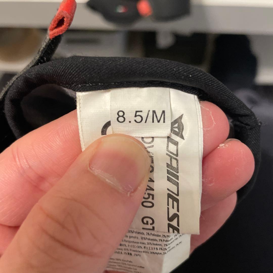 ダイネーゼ　GORETEXグローブ