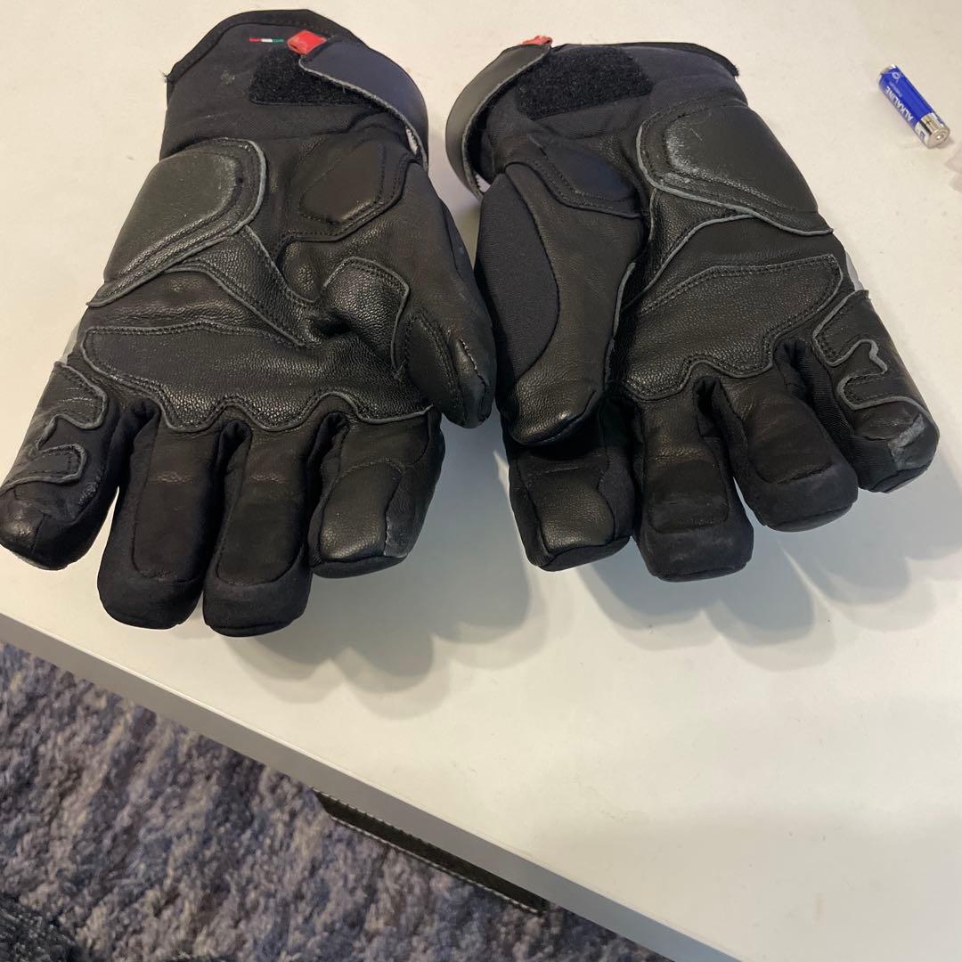 ダイネーゼ　GORETEXグローブ