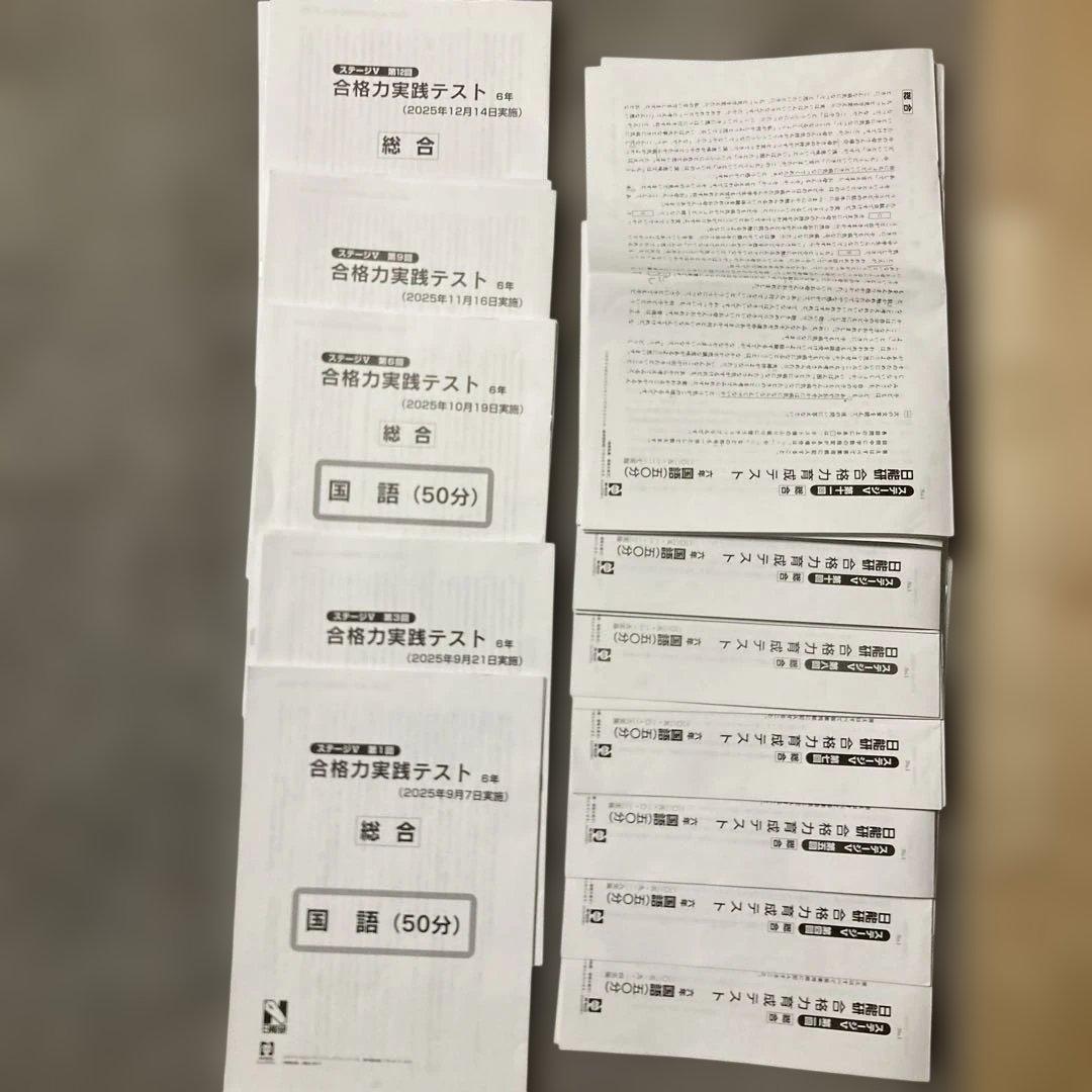 日能研6年（2025年度）　公開模試　育成テスト　夏期春期テスト　4科目