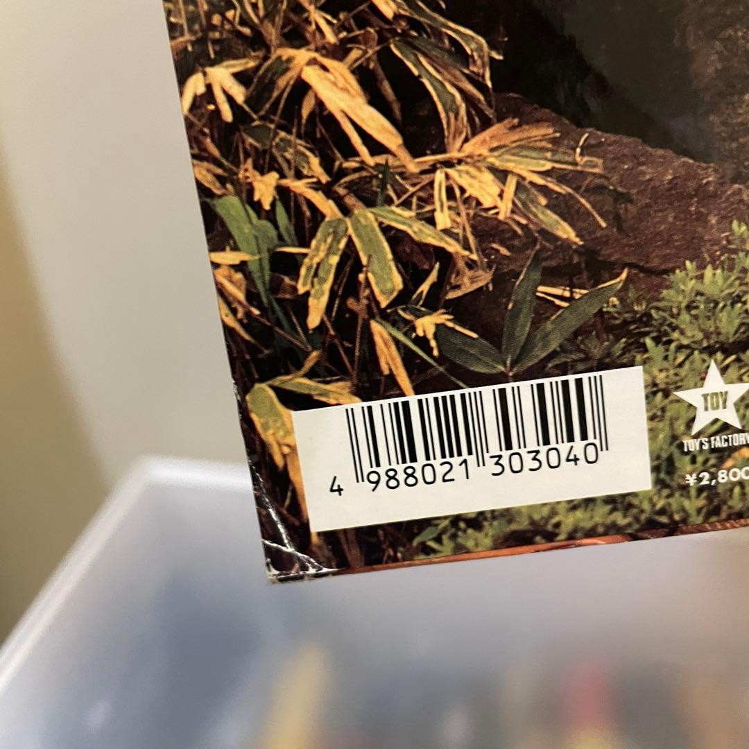 筋肉少女帯 空手バカボン 大槻ケンヂ レコード6枚