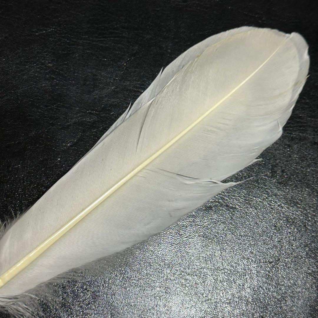 c*o様 ★茶道具！三ツ羽 白鳥緒羽！『山本 竹裕斎』作！共箱/紙箱付！★