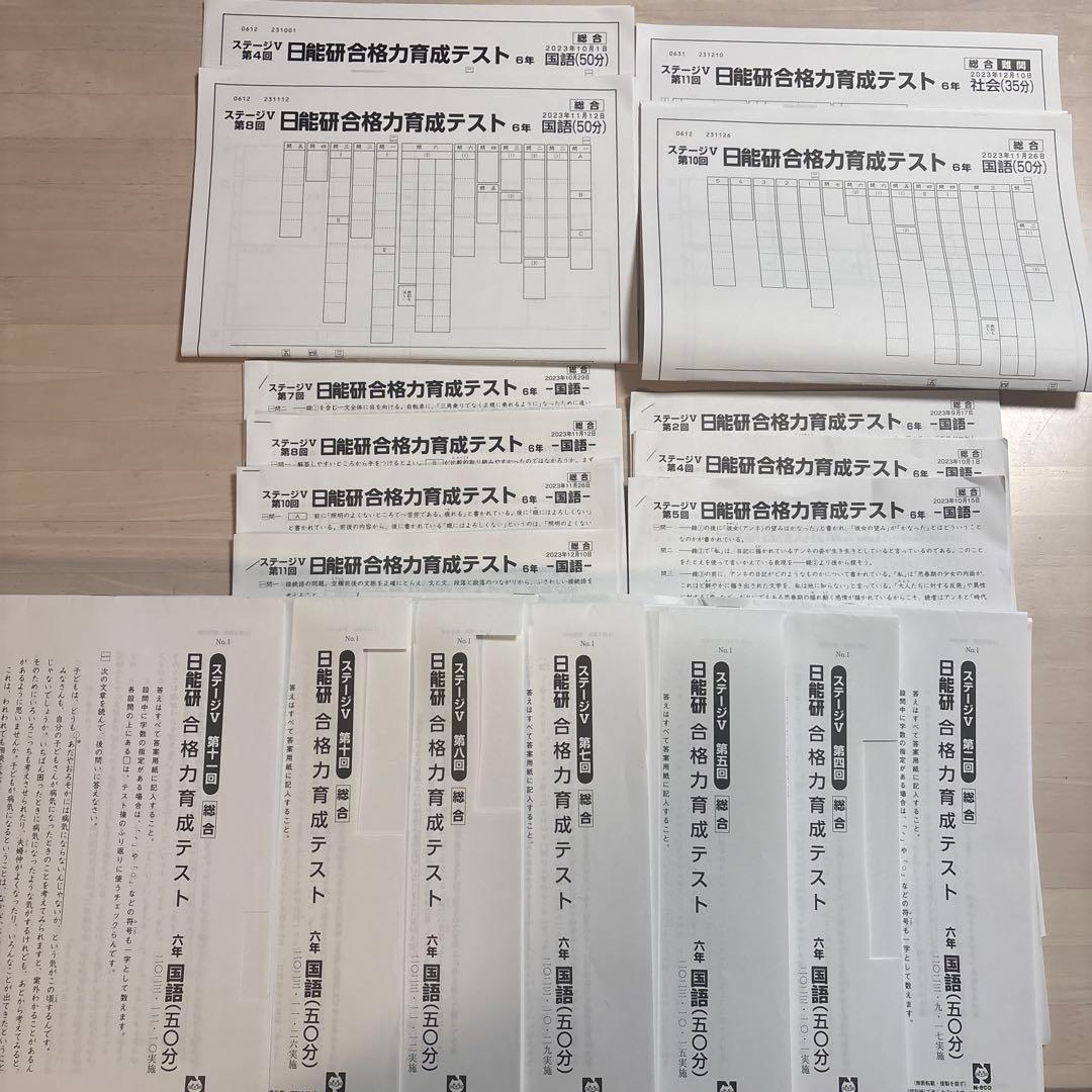 日能研6年　合格力育成テスト　合格力実践テスト　11回分　未使用含む