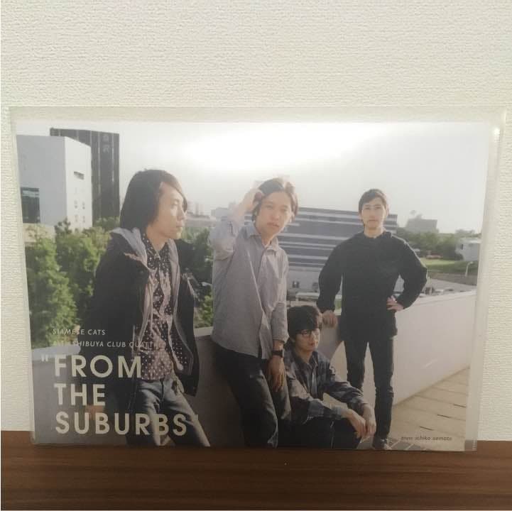 シャムキャッツ 2014ツアーパンフレット