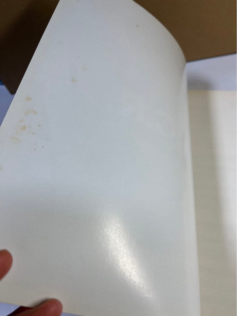 C・C・R  クリーデンスクリアウォーター　ベスト　バンドスコア