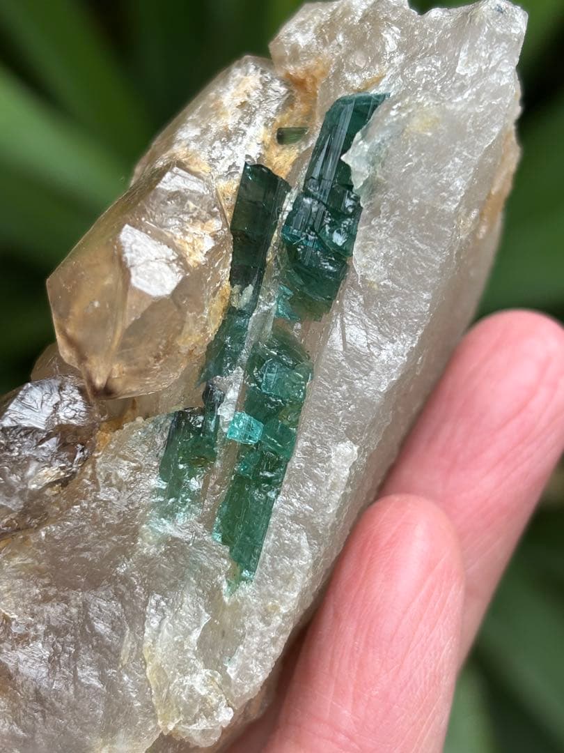 希少　ミナスジェライス州産　シトリン　ジャカレー　トルマリン共生　237g