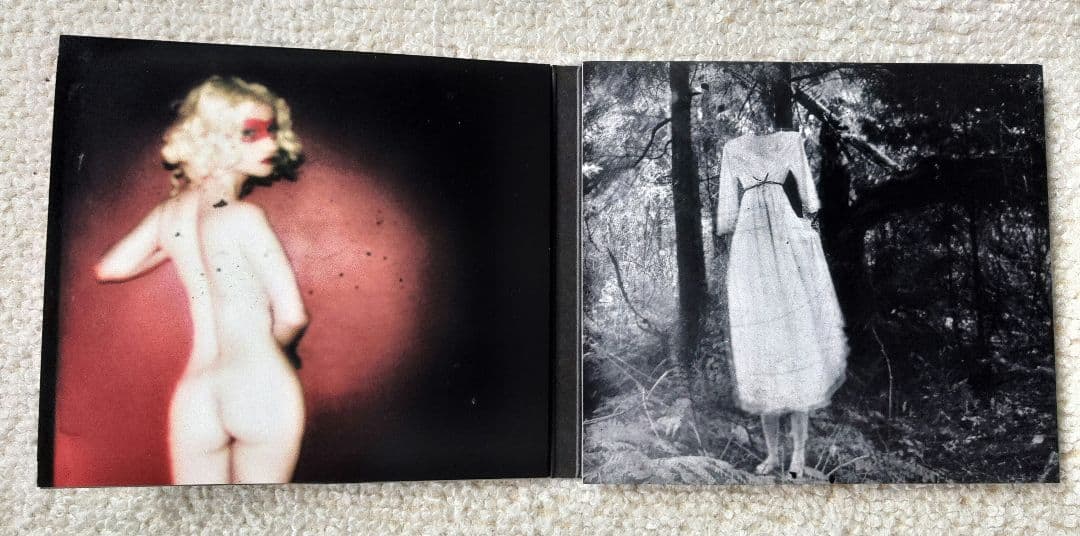 洋楽 David Sylvian CD