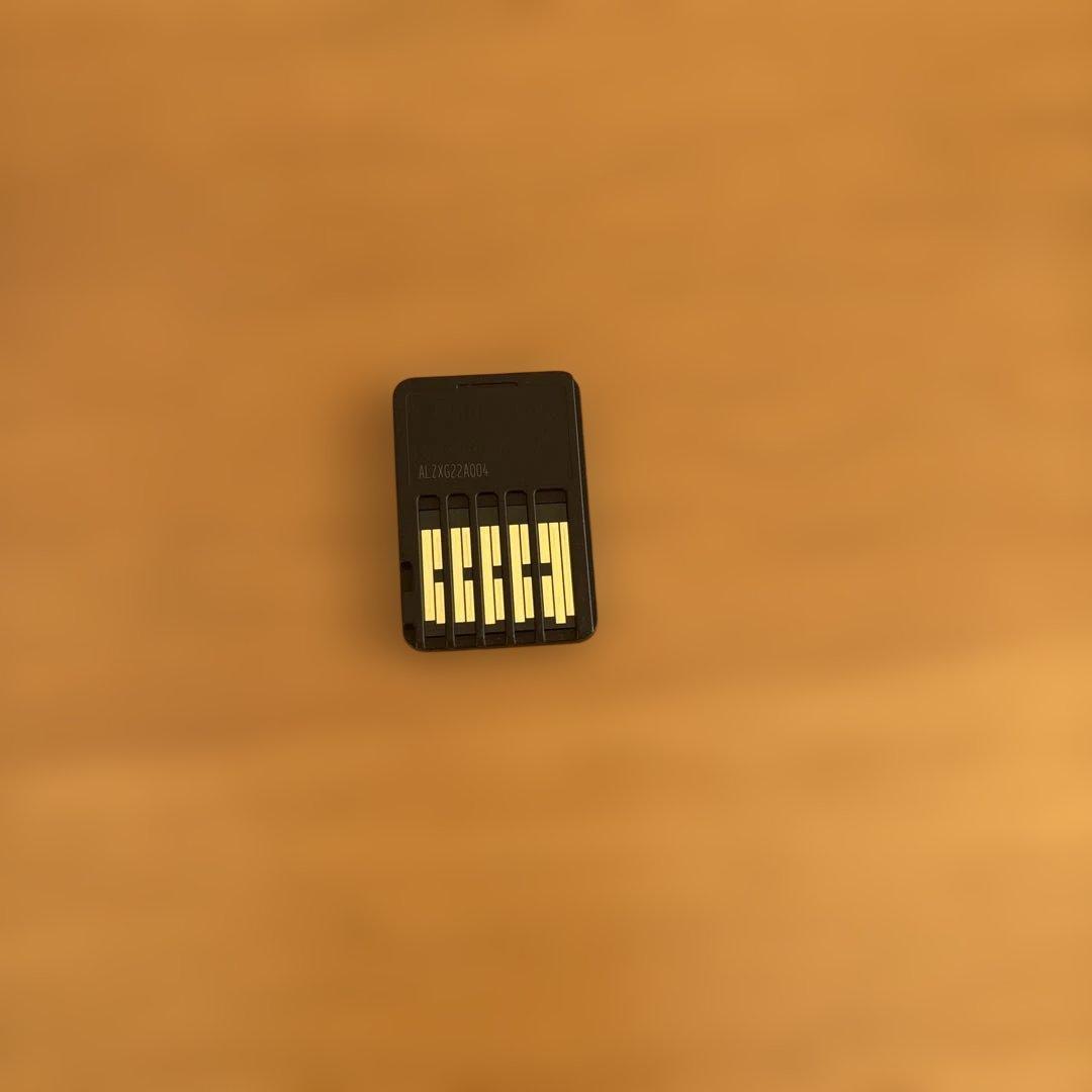 ポケットモンスター スカーレット+ゼロの秘宝