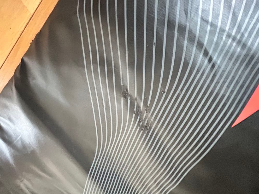 【板3本収納】アトミック　スキーケース