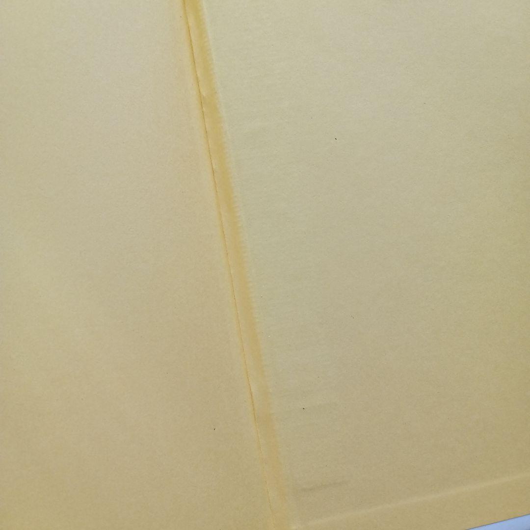 【匿名配送】Emma's Pet　デイビット・M・マクファイル　絵本　洋書　英語