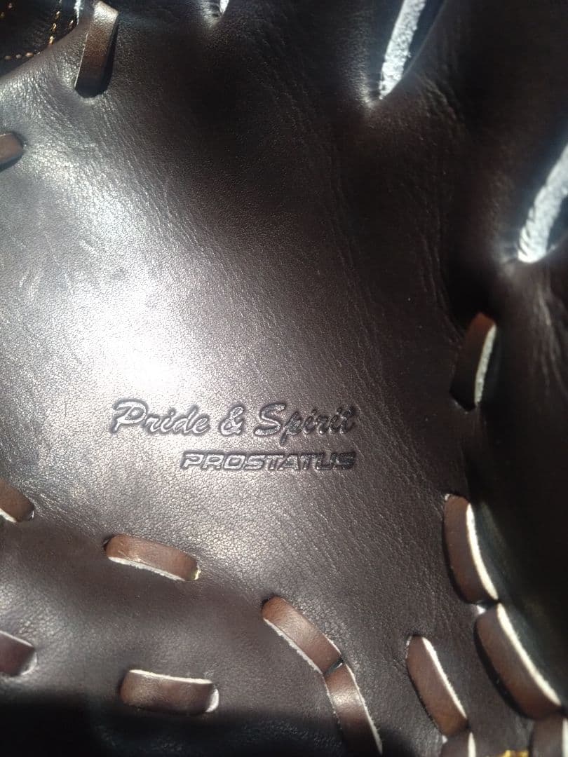 ZETT PROSTATUS 硬式野球グローブ