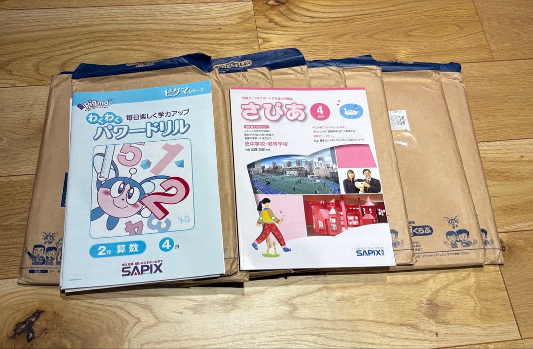 ピグマ(サピックス) 2年生2024年4-12月号