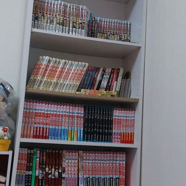 本棚整理   一冊100円～350