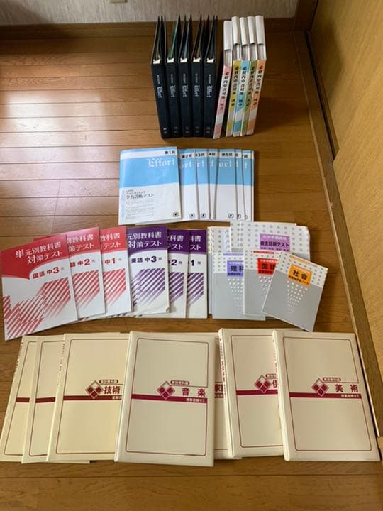 限定値下げ！ 成績UP エフォート教材(小学校復習＋中学校3年間分)