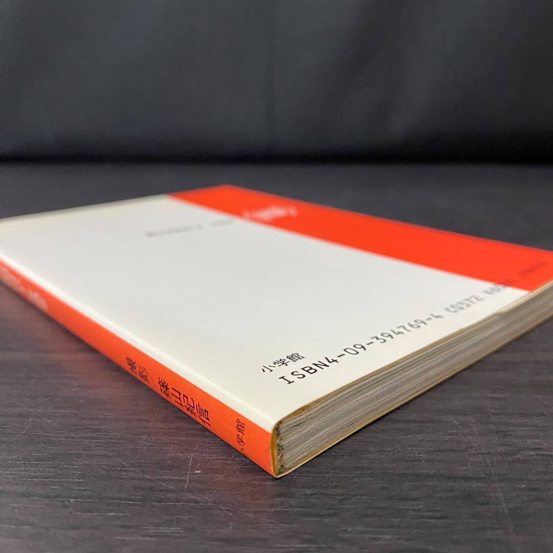 写真集 青山知可子 亜熱帯 篠山紀信 GORO 特別編集 激写文庫