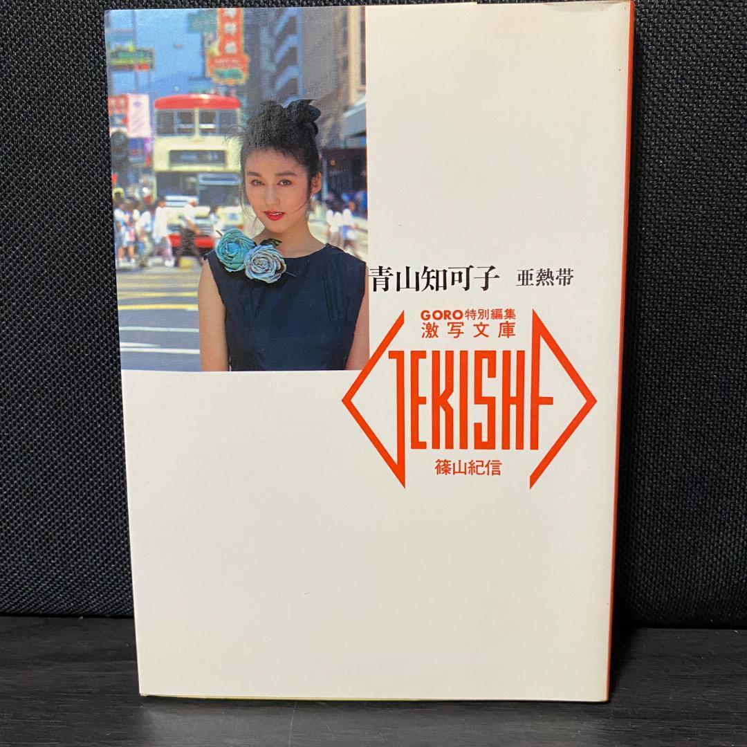 写真集 青山知可子 亜熱帯 篠山紀信 GORO 特別編集 激写文庫