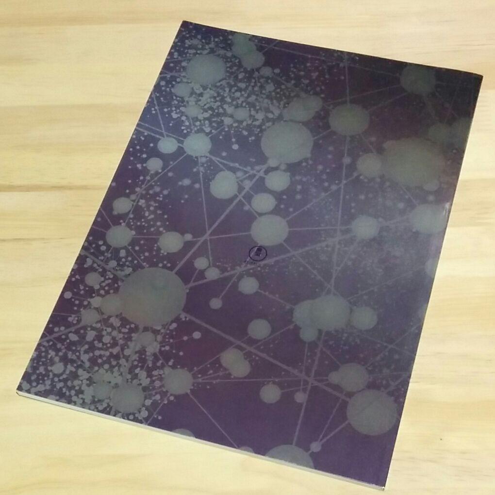 松任谷由実「朝陽の中で微笑んで」パンフレット　CD付き