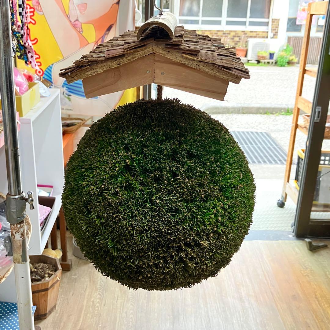 杉玉【屋根付き】③