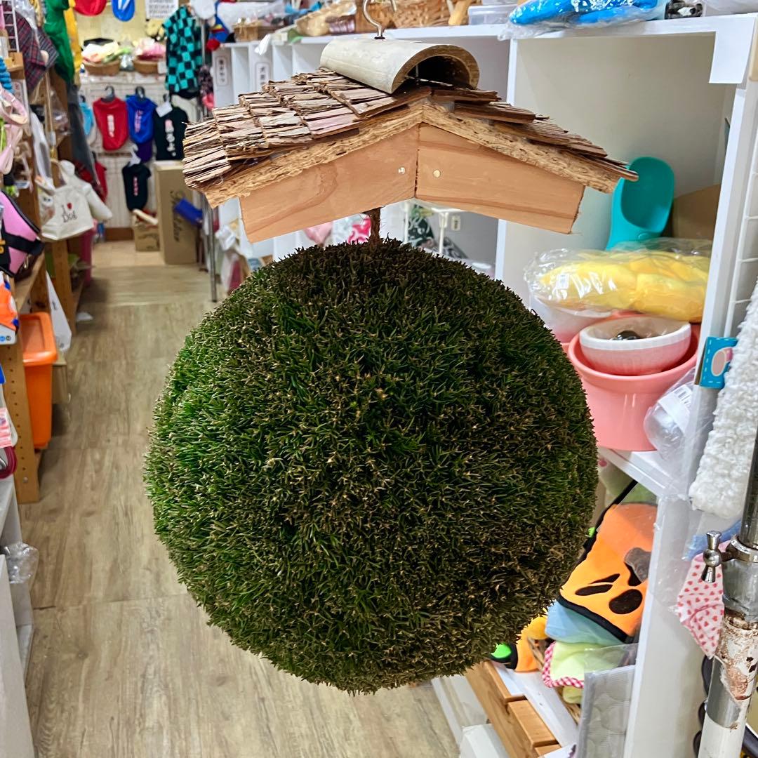 杉玉【屋根付き】③