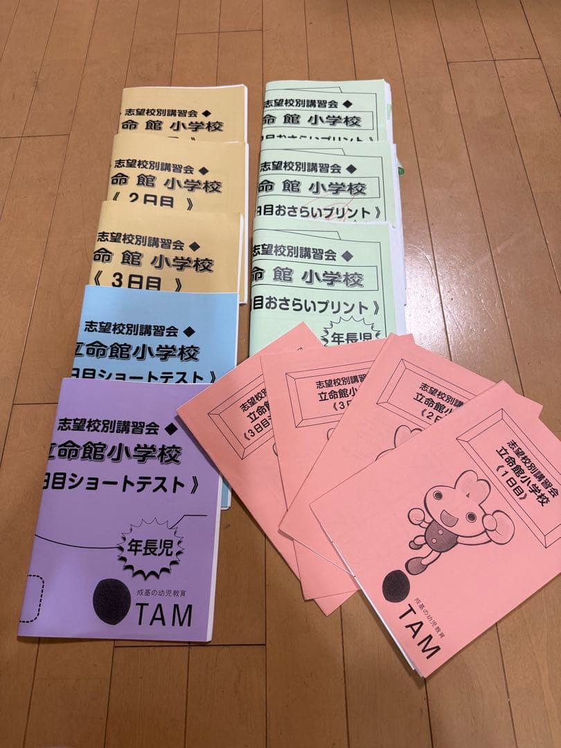 立命館小学校強化 学習プリント・夏期特訓・入試問題集 セット