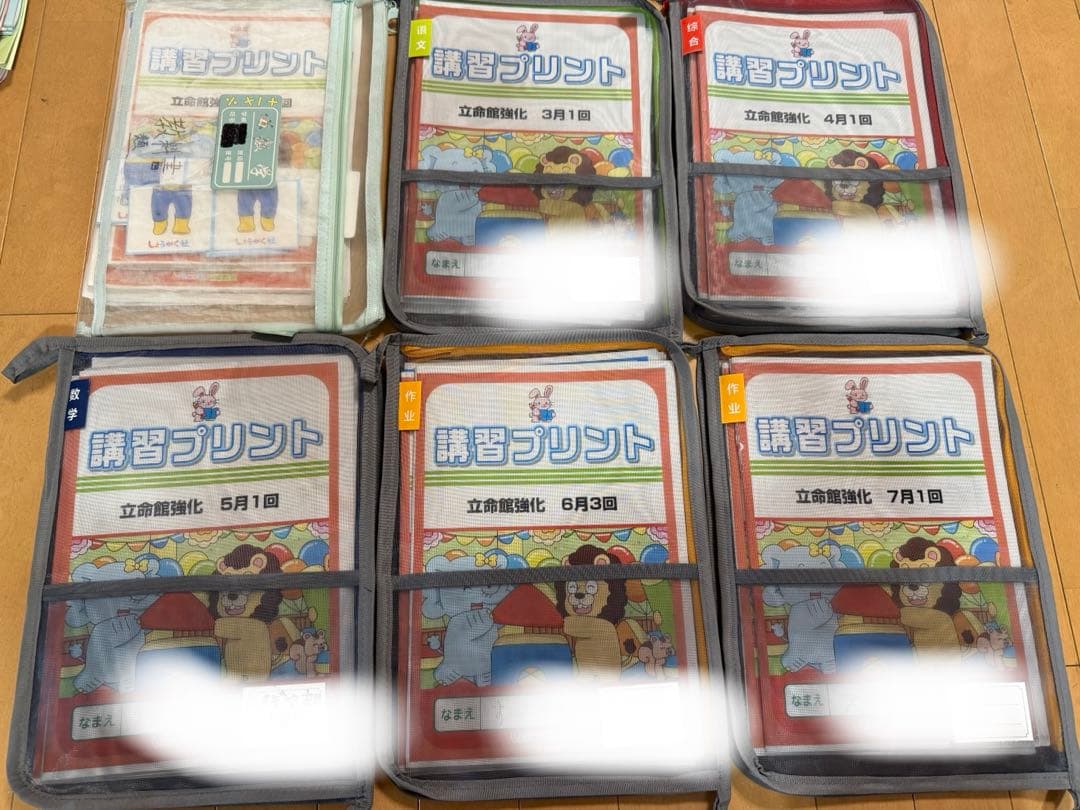 立命館小学校強化 学習プリント・夏期特訓・入試問題集 セット