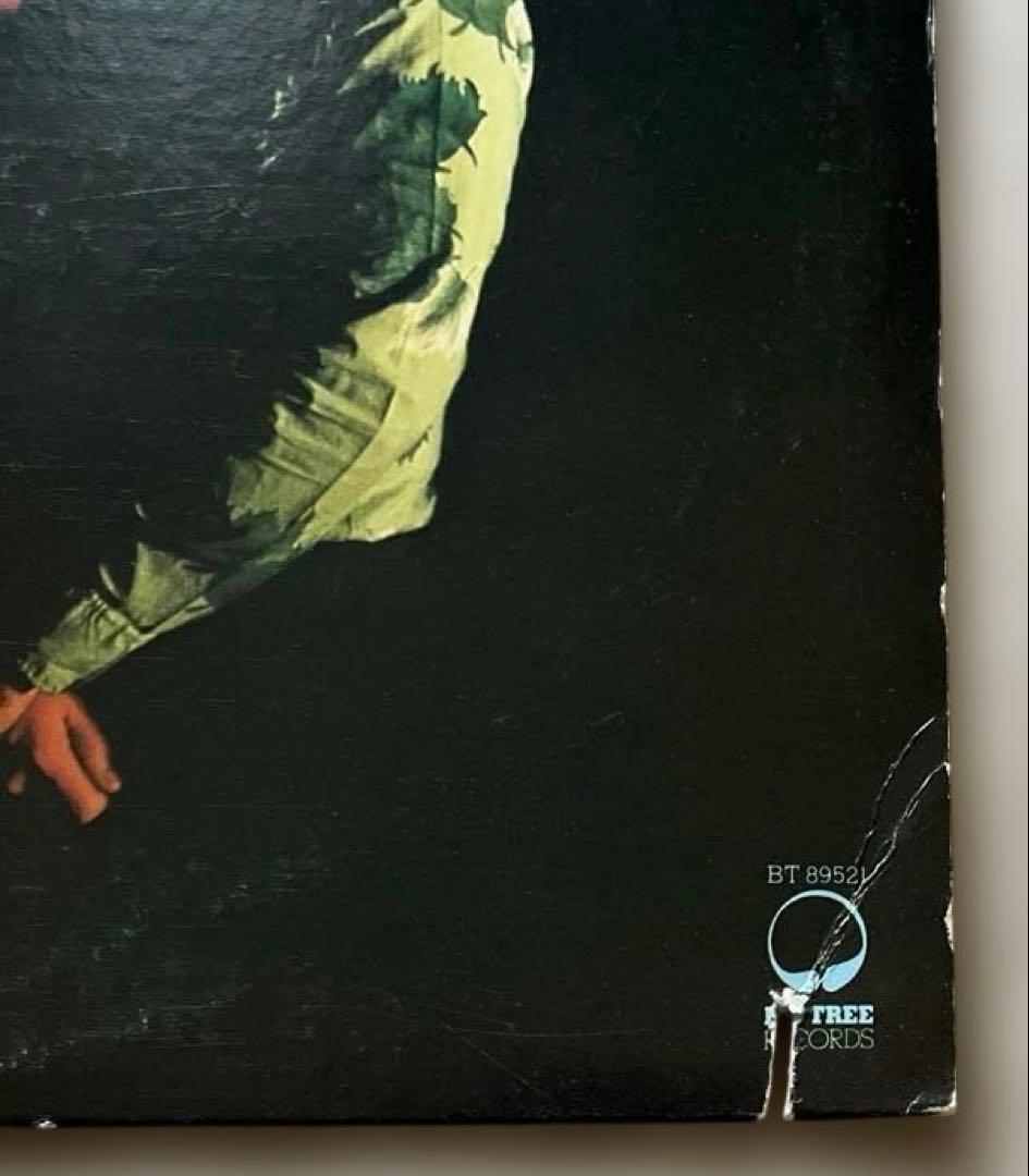 AOR LP6枚 ディンドナヒュー デビッドロバーツ ペイジス スティーブギブ他