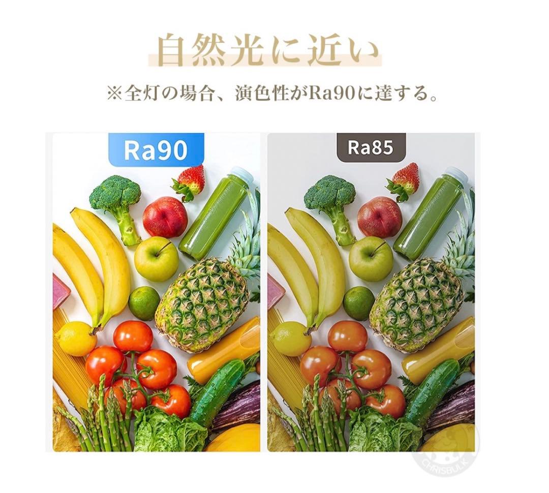 シーリングファンライト