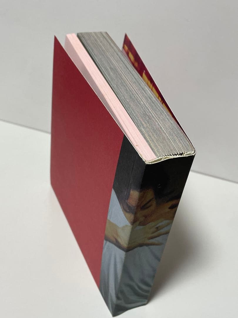 超希少【映画】『花様年華』写真集 ウォン・カーウァイ監督作品／2001年日本公開