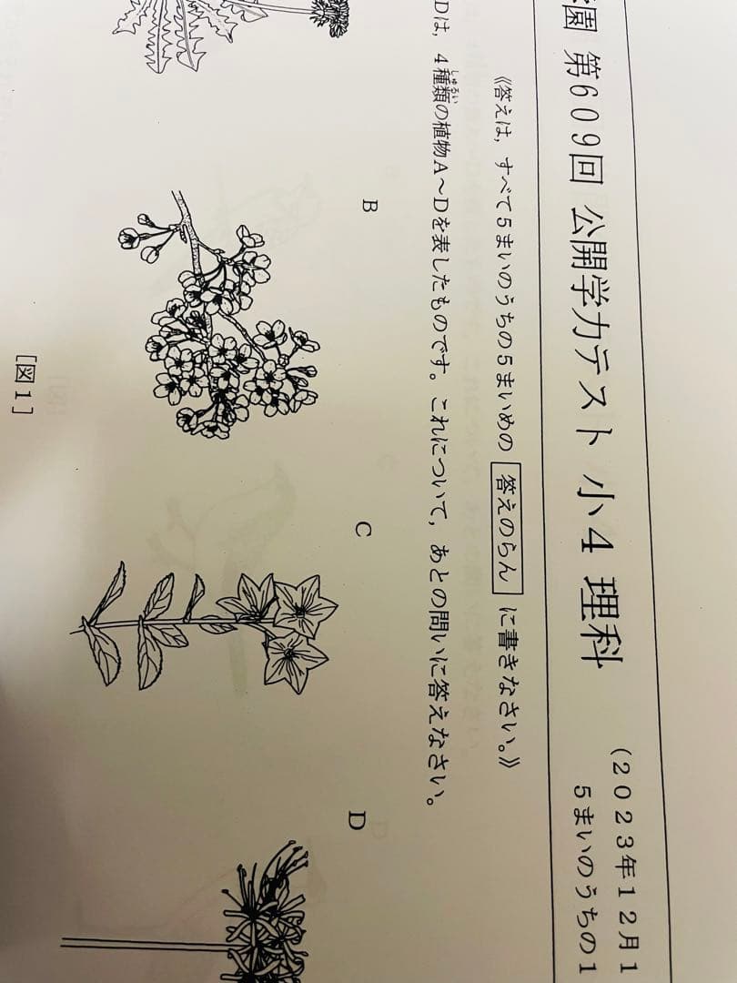 浜学園　小4　2023年度　公開学力テスト　4教科　おまけ付f