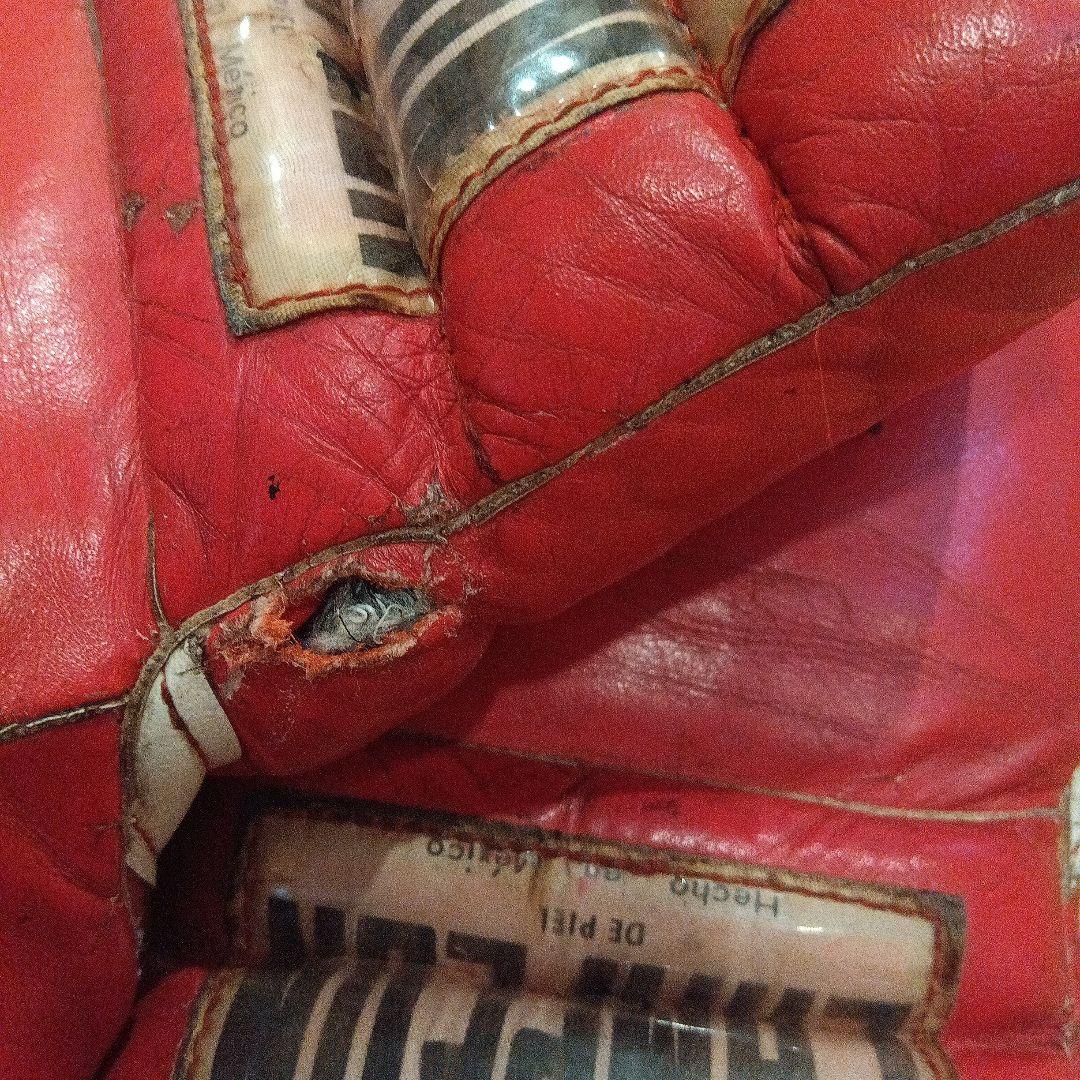 カンペオン　ボクシンググローブ１８オンス　赤