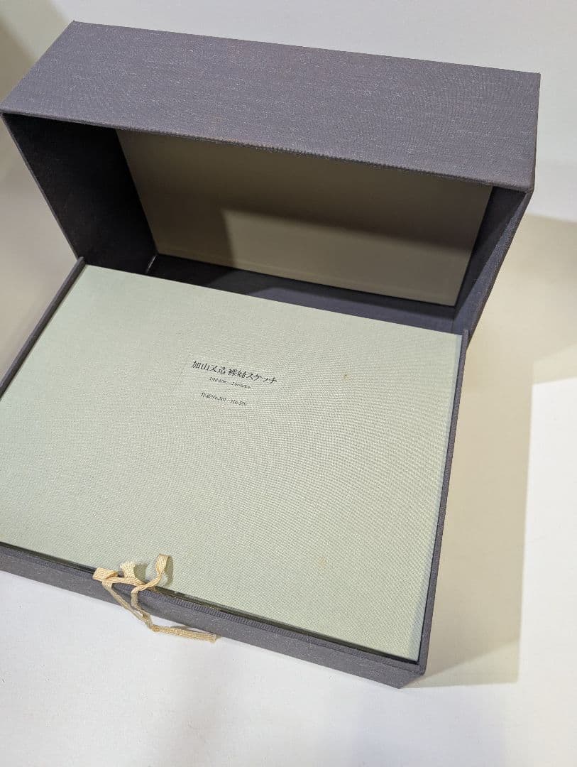 加山又造 裸婦スケッチ 限定95部」1984～1986 作品No.501～750