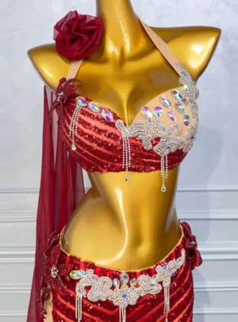 ベリーダンス オリエンタル衣装 透け ブラ スカートセット オーダーメイド