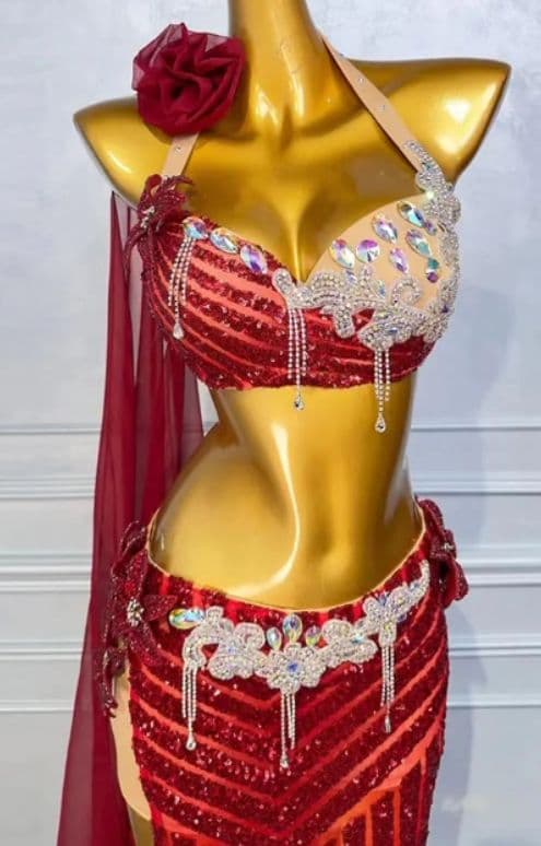 ベリーダンス オリエンタル衣装 透け ブラ スカートセット オーダーメイド