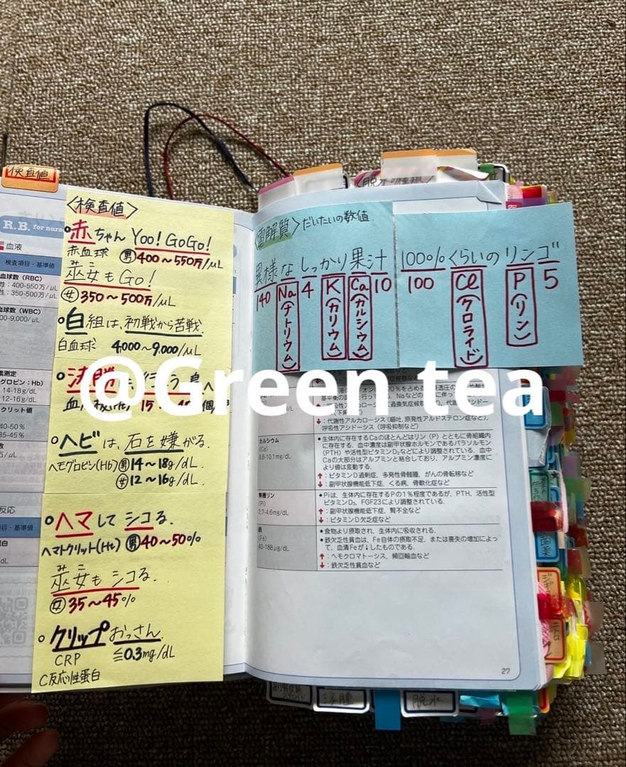 看護師国家試験　レビューブック　書き込みあり　おまけつき