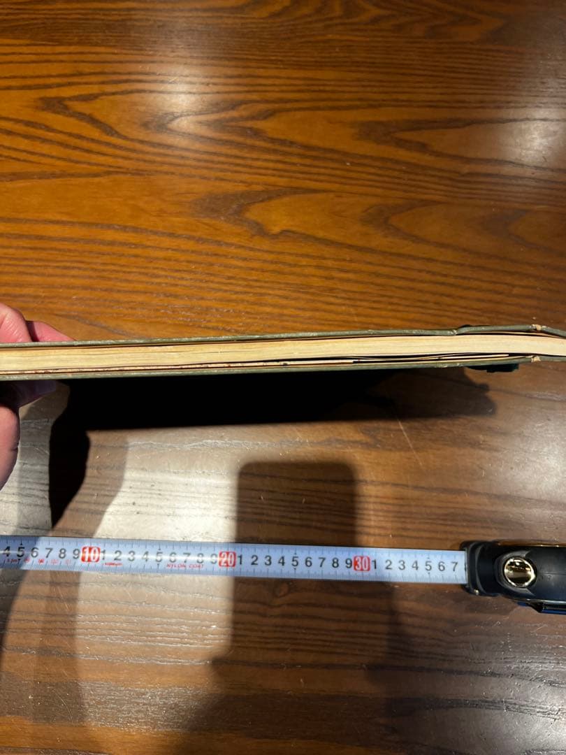 念記　大那支　戦争の記録　支那事変