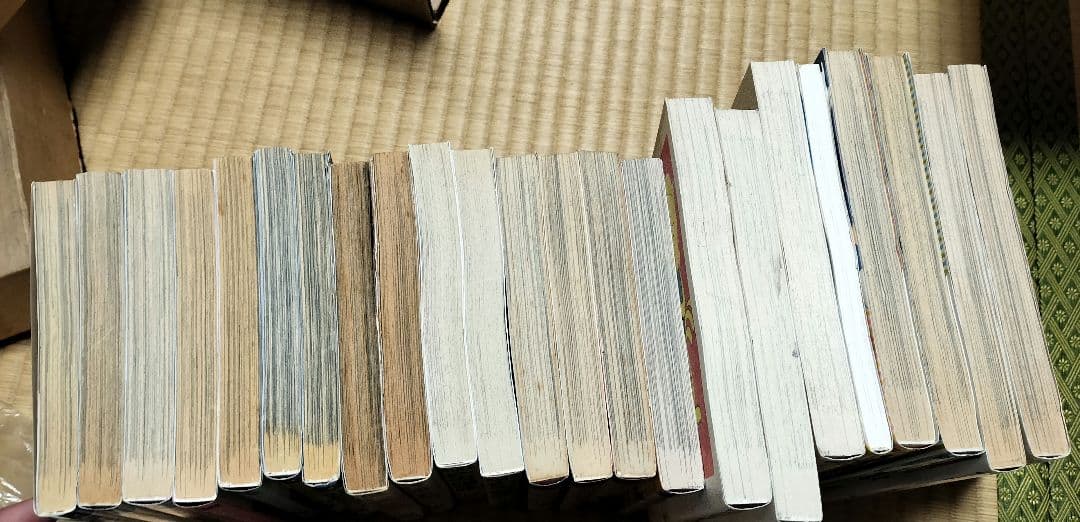 竹本泉　漫画　79冊セット　ほぼ初版　ねこめーわく　あおいちゃんパニックなど