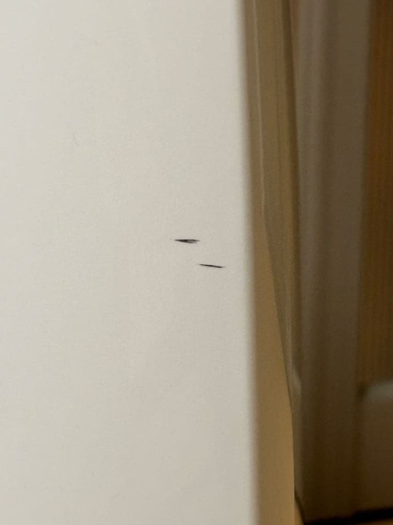 【LOWYA】 コンプレッサー式 除湿機／衣類乾燥・部屋干し対策