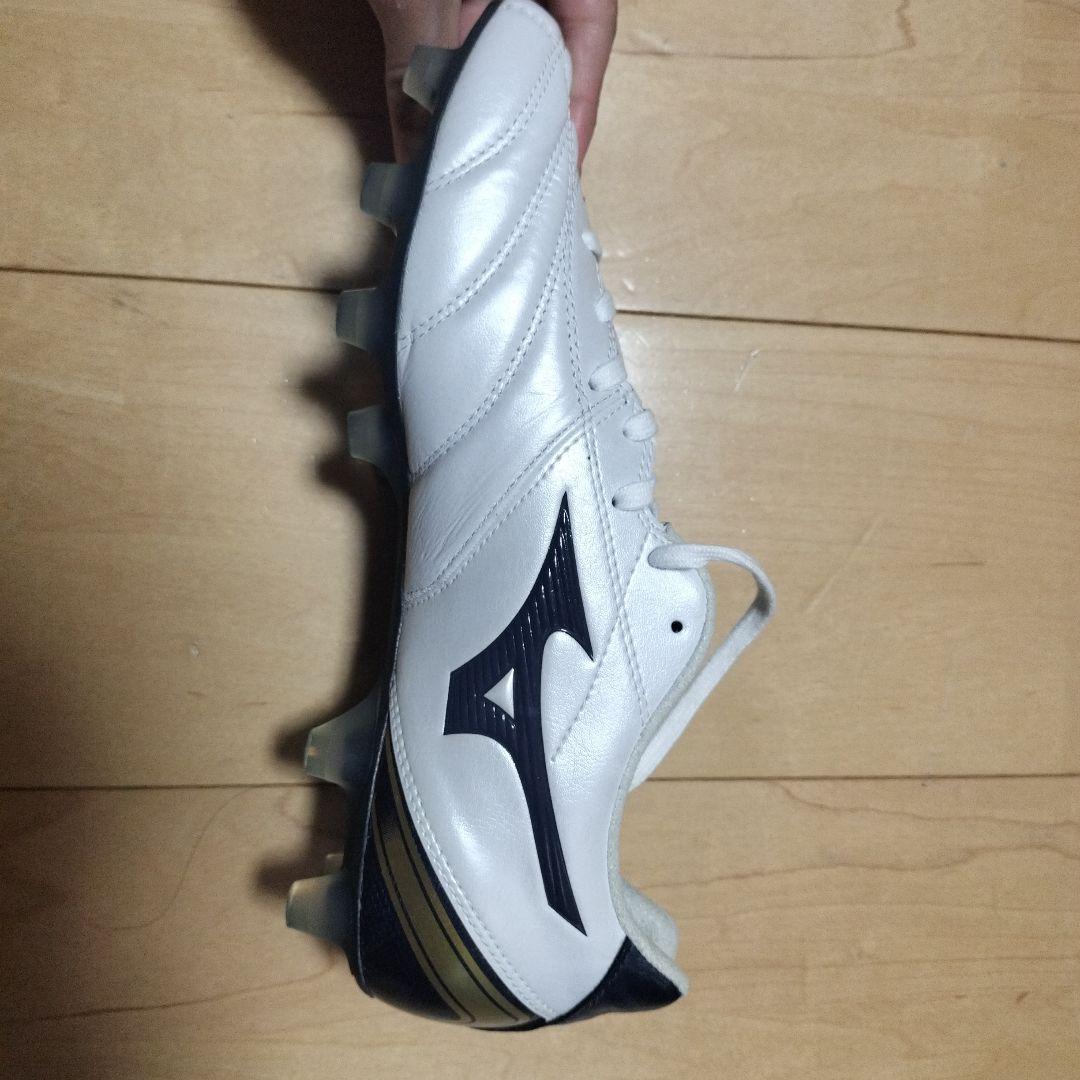 モナルシーダ2 wide