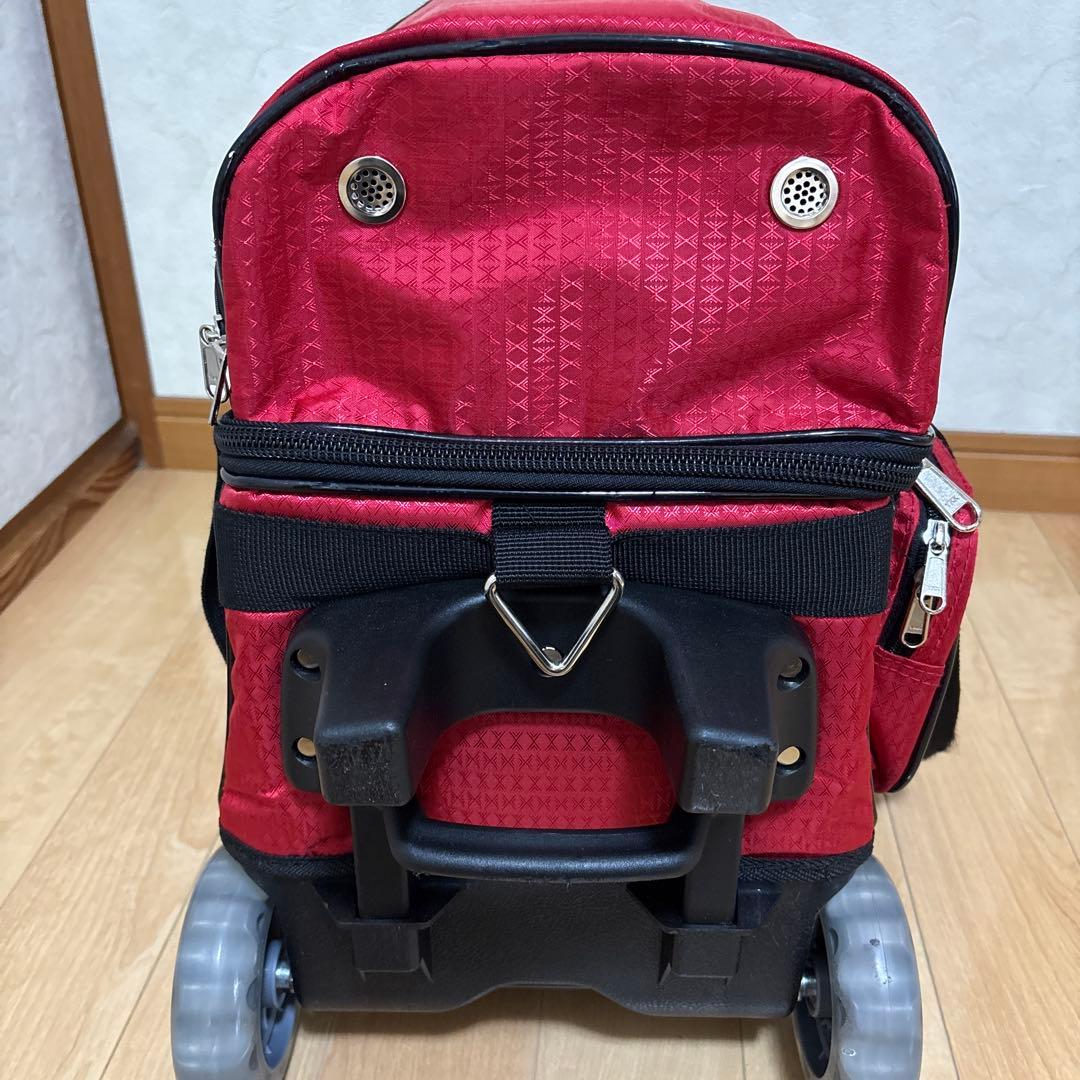 【美品】PRO-AMボウリングキャリーバッグ（ボウル2個用）