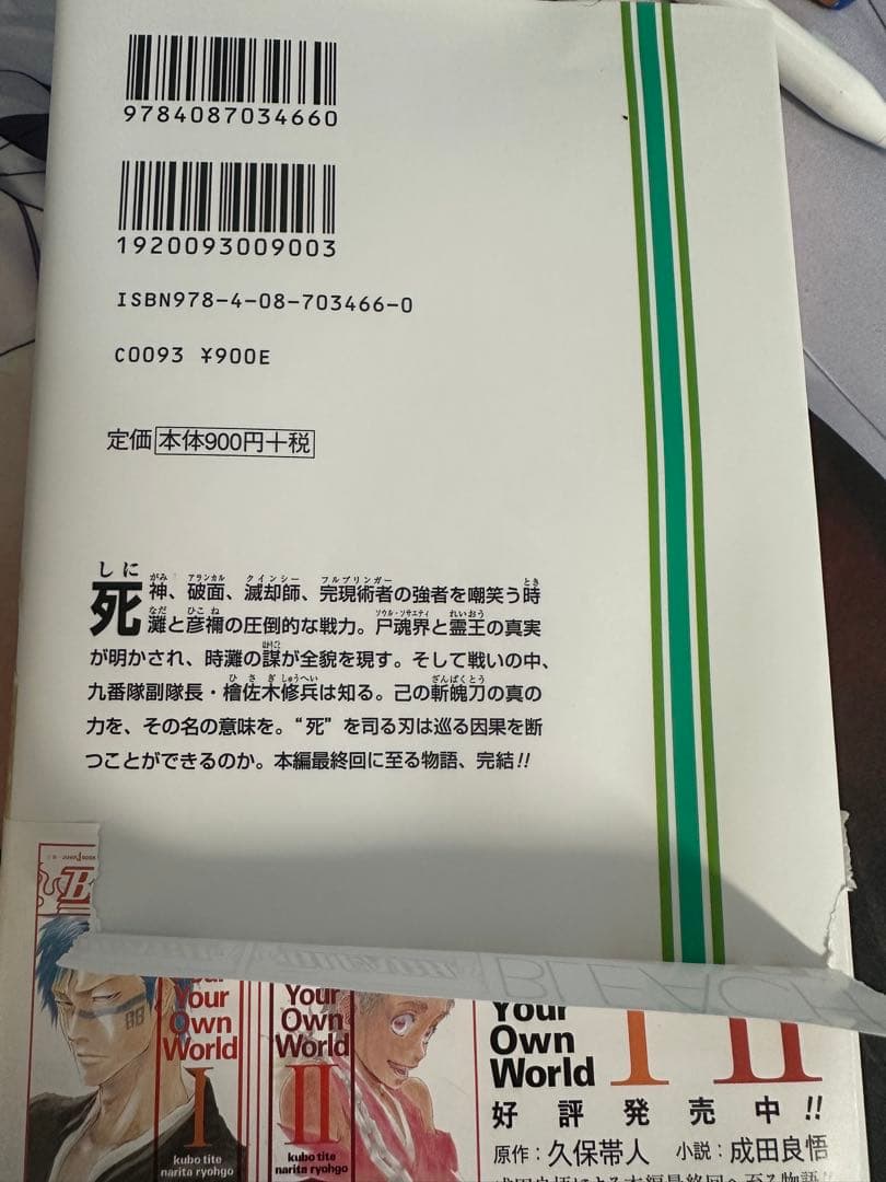 BLEACH 55-74巻＋Can't Fear Your Own World