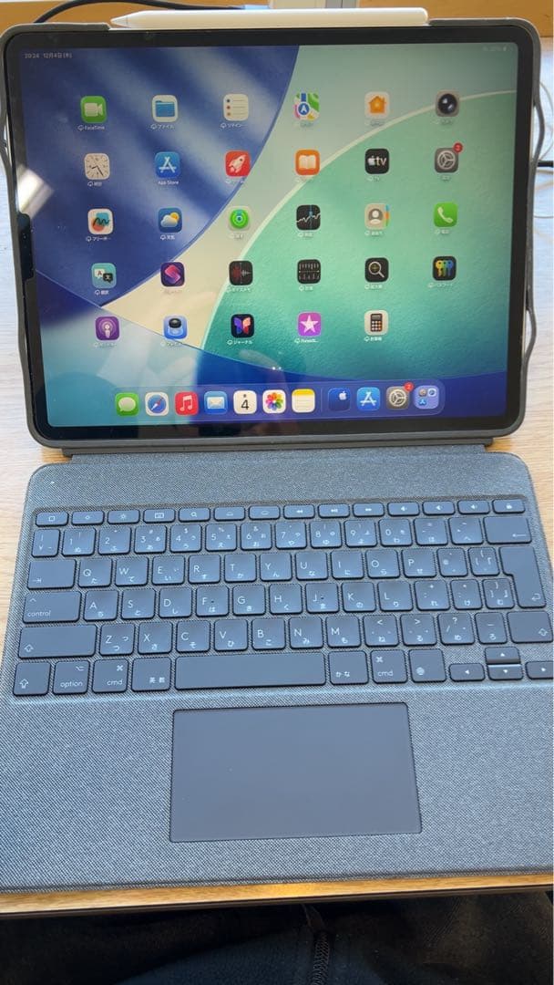 iPad Pro 12.9インチ　第4世代　1TB 付属品あり　かつぽん