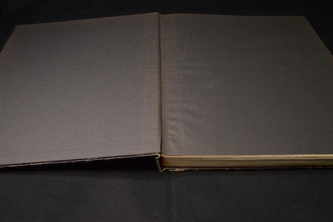 【TOKYO 東京:William  】★★大幅に値下げしました