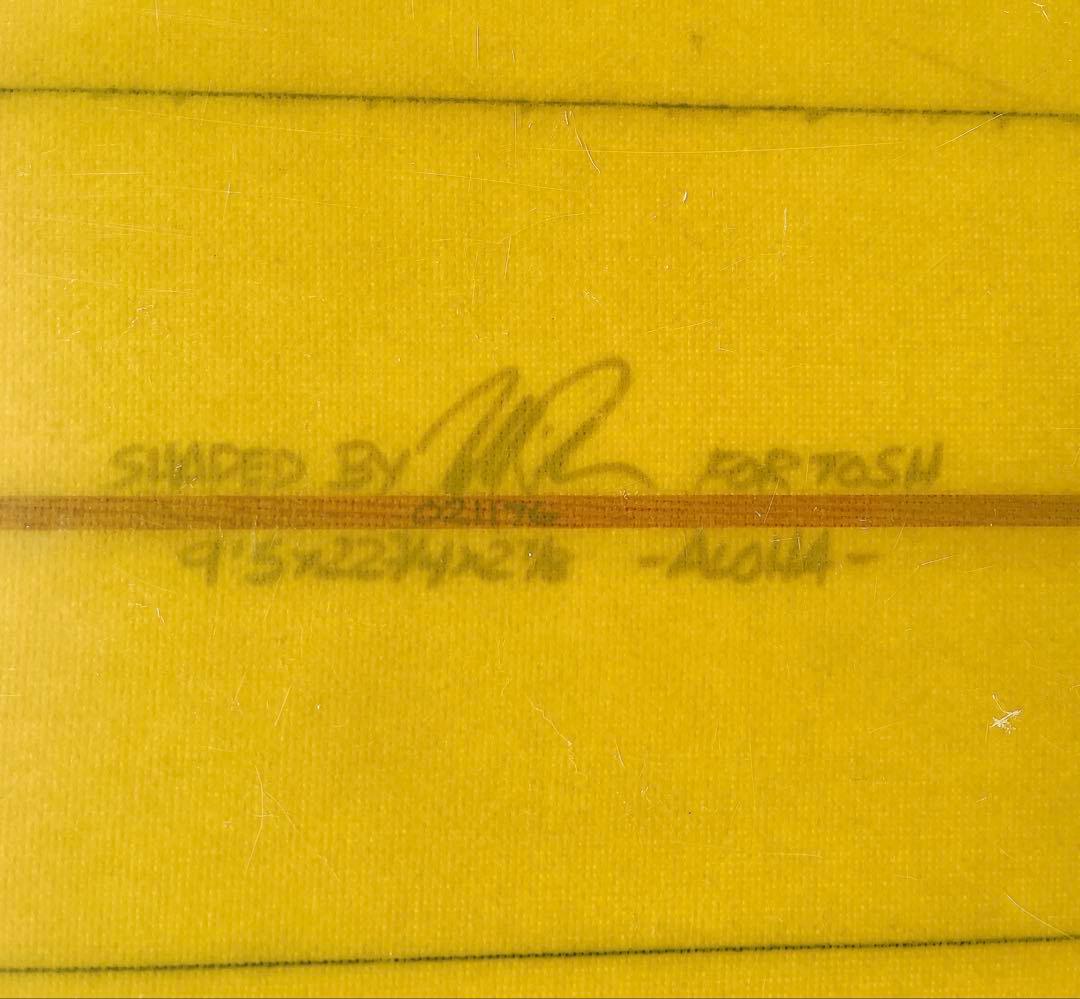 THC surfboards 9.5TOSH personalジョエルチューダー