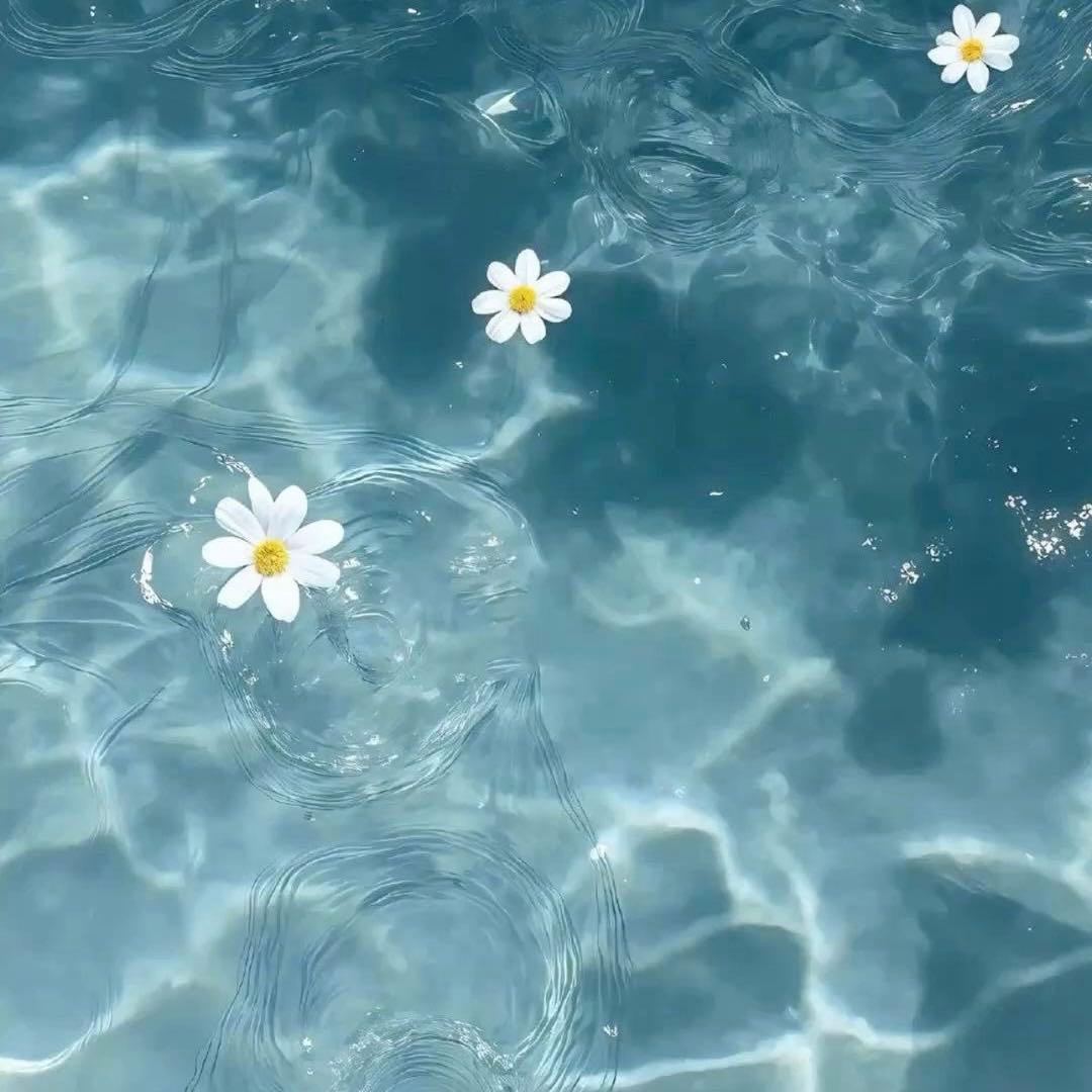 文学・小説 misumi