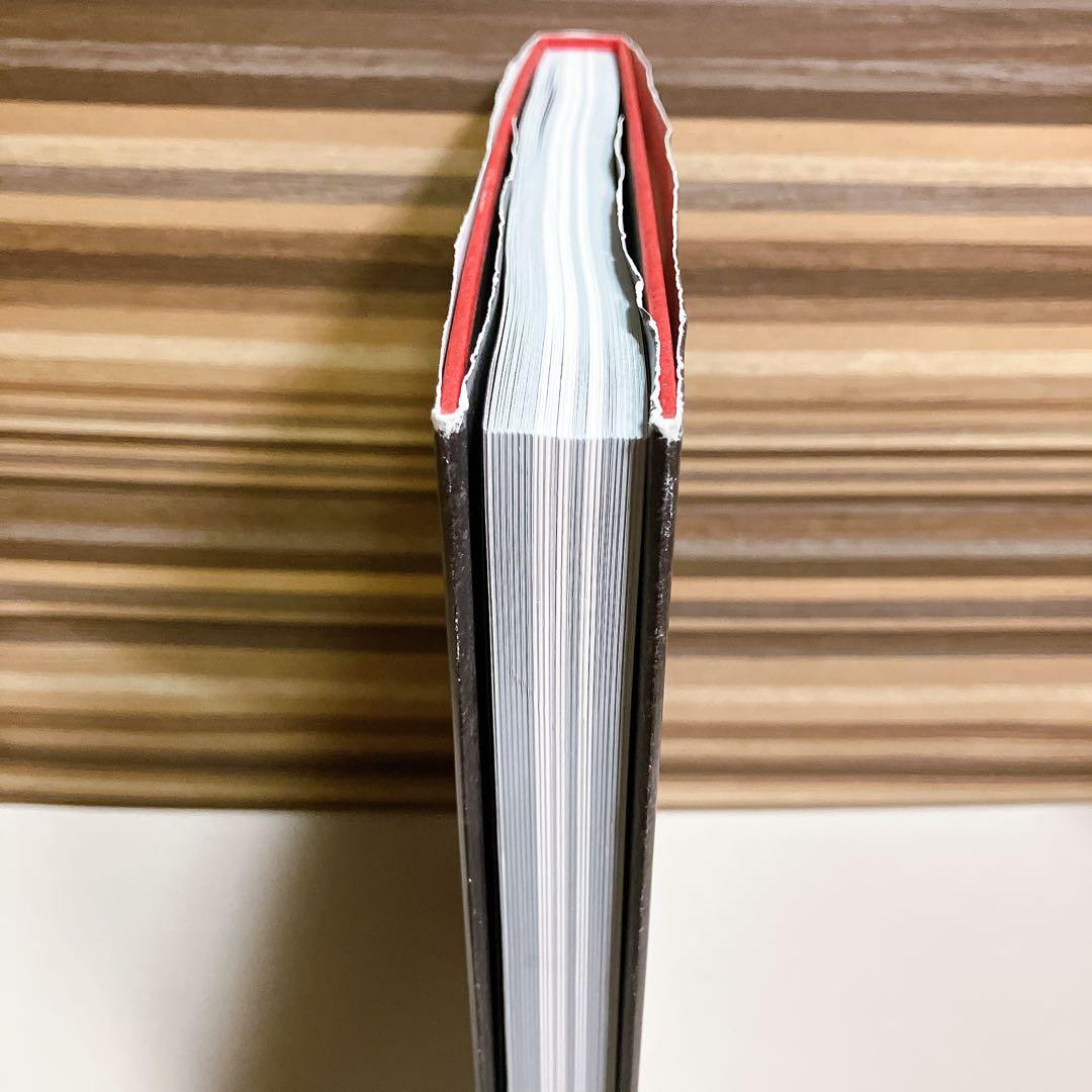 Santa Lilio Sangre緋いユリ 小島文美画集