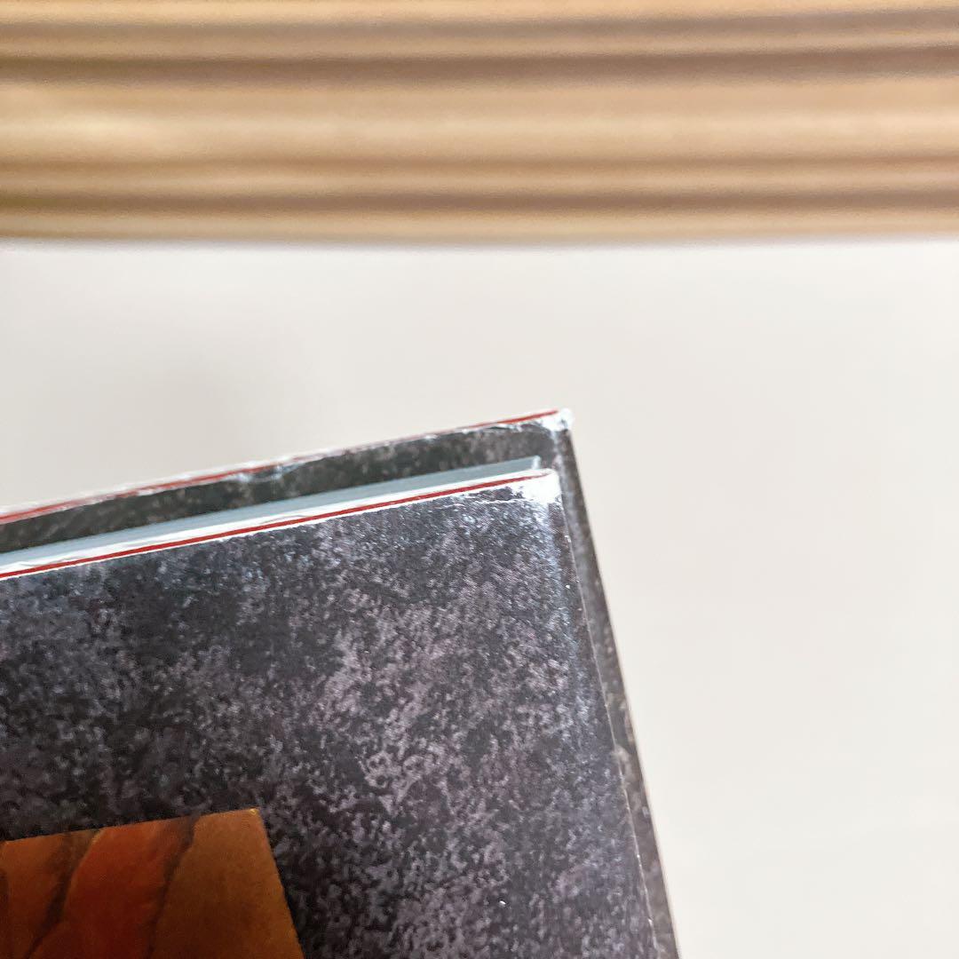 Santa Lilio Sangre緋いユリ 小島文美画集