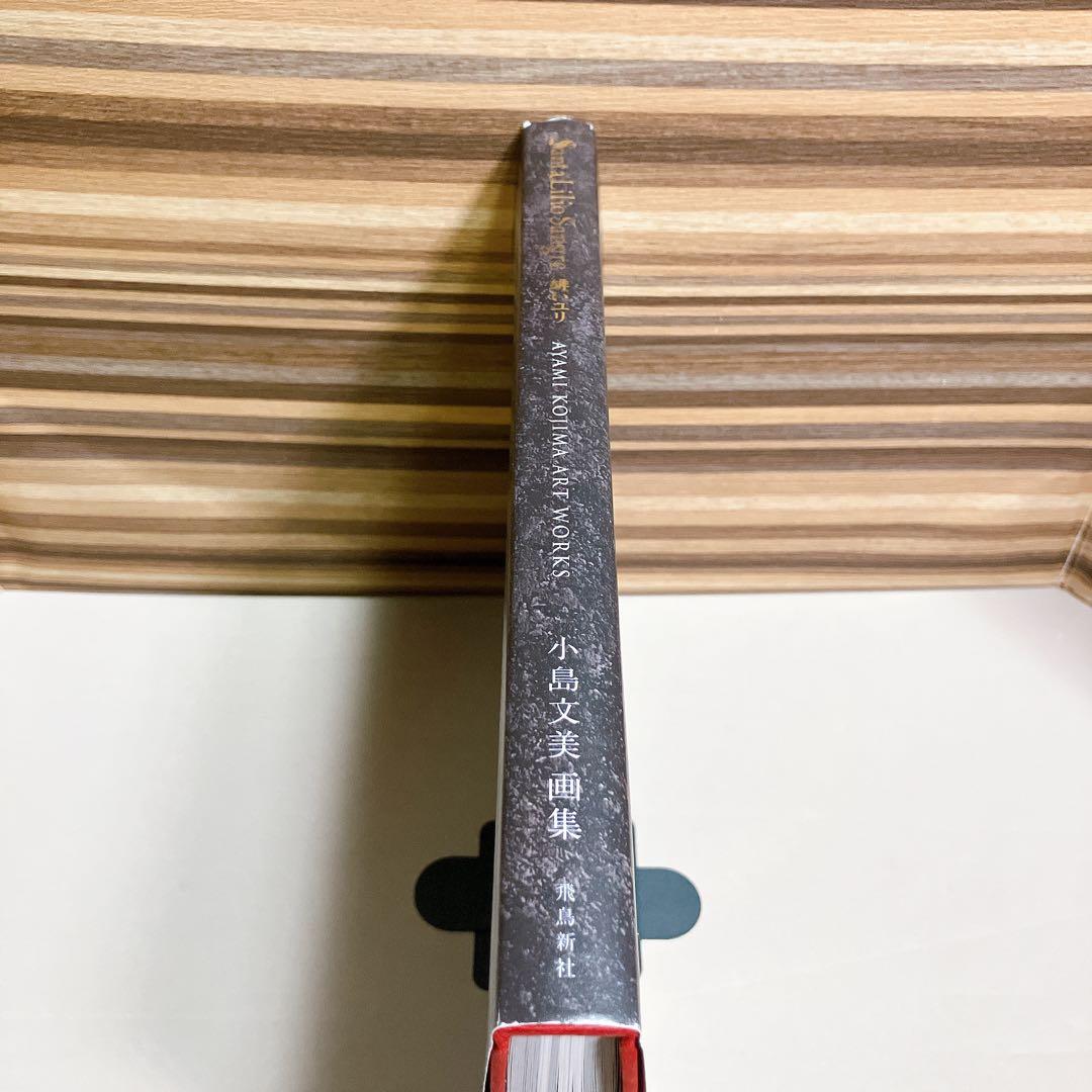 Santa Lilio Sangre緋いユリ 小島文美画集