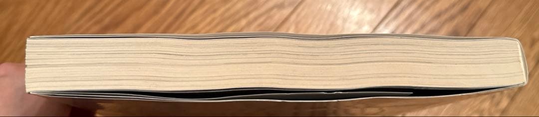 【美品】ナイキ クロニクル デラックス