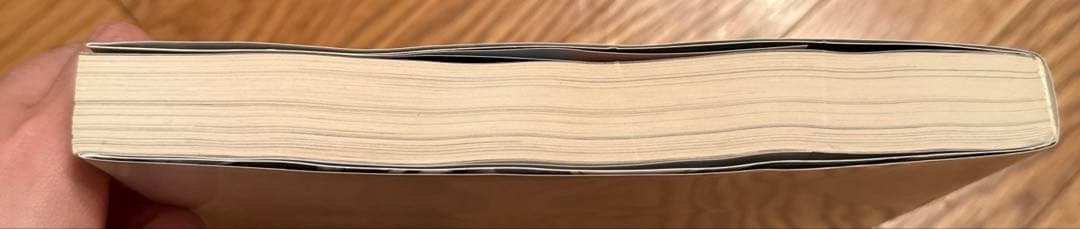 【美品】ナイキ クロニクル デラックス